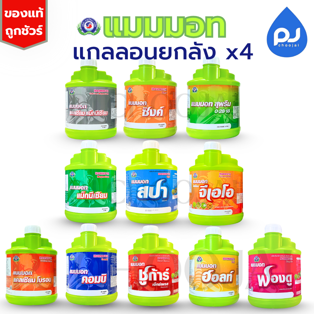 ยกลัง4แกลลอน อาหารเสริมแมมมอท บริษัทเทพวัฒนา จำกัด
