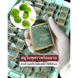 สบู่ใบพุทรา รุกยะห์ SIDR PLUS+