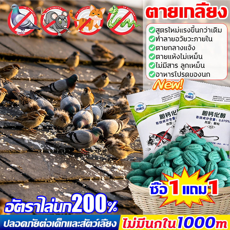 ซื้อ1แถม1 ยาฆ่านกพิราบ 7เห็นผลชัวร์200% ยาเบื่อนก กำจัดนกพิราบและนกทุกชนิด ยาฆ่านก 40g แห้งเร็วและไม่มีกลิ่น ราคา ถูกที่สุด ดีลบีเคเค รูปภาพหลัก