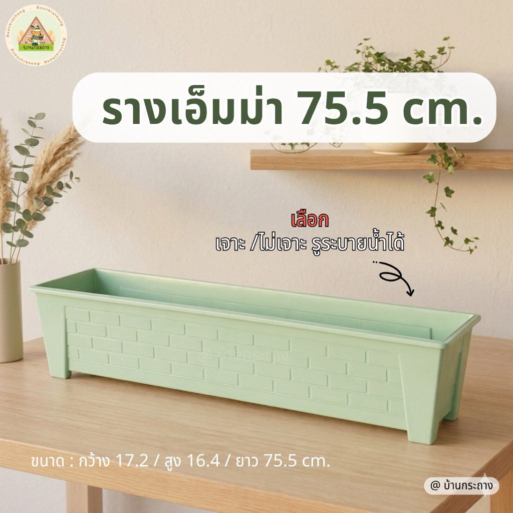 กระถางต้นไม้ รางเอมม่า ยาว75.5เซนเลือกเจาะ/ไม่เจาะรูระบายน้ำได้ รางปลูกผัก รางปลูกดอกไม้ กระถางรางหมู – โปรปัง