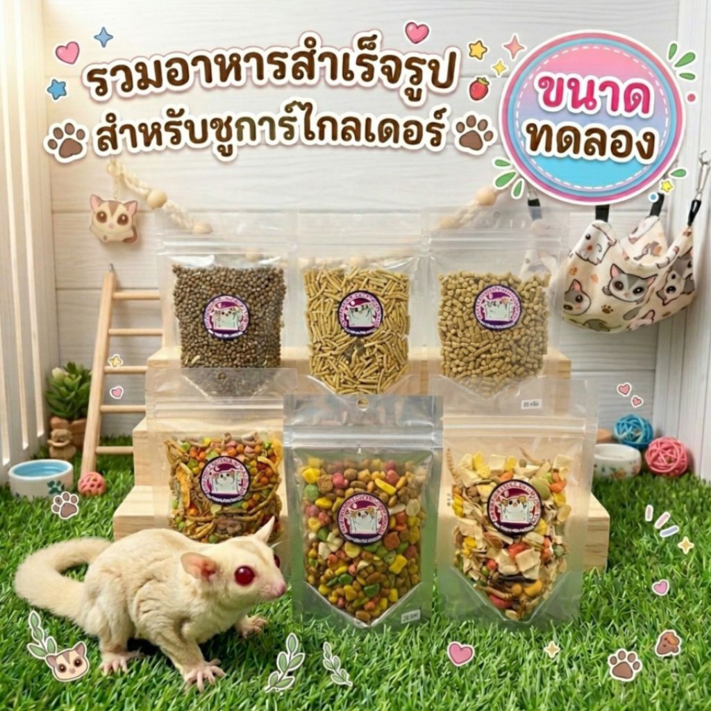 (ขนาดทดลอง) รวมอาหารสำเร็จรูปสำหรับชูการ์ไกลเดอร์