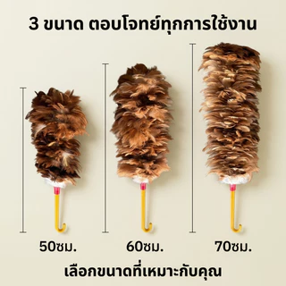 ไม้ปัดฝุ่นขนนก เกรด A ด้ามพลาสติก มีขนาด 70 ซม. 60 ซม. และ 40 ซม. ขนแปรงหนาและฟูและไม่หลุดร่วงง่าย