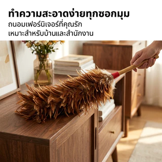 ไม้ปัดฝุ่นขนนก เกรด A ด้ามพลาสติก มีขนาด 70 ซม. 60 ซม. และ 40 ซม. ขนแปรงหนาและฟูและไม่หลุดร่วงง่าย