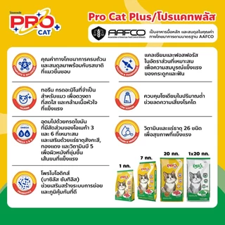 Pro cat โปรแคท อาหารแมว ชนิดเม็ด ขนาด 7 KG