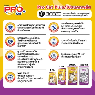 Pro cat โปรแคท อาหารแมว ชนิดเม็ด ขนาด 7 KG