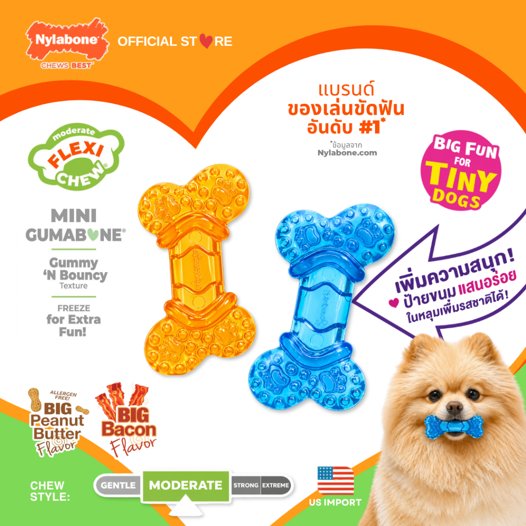 Nylabone Flexi Chew Mini Gumabone Dog Toy ของเล่นขัดฟันสุนัข ไร้สารพิษ แก้เครียด รสเนยถั่ว&เบคอน