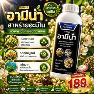 อามีน่า เปิดตาดอก แถมจีฟอร์ซวัน100ซีซี สาหร่ายอะมิโน ธาตุแมกนีเซียม และสังกะสี 1ลิตร
