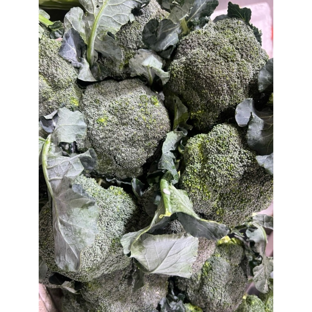 บร็อคโคลี่สด (1 หัว300-400กรัม) สดใหม่รับประกันสินค้าและคุณภาพ🥦