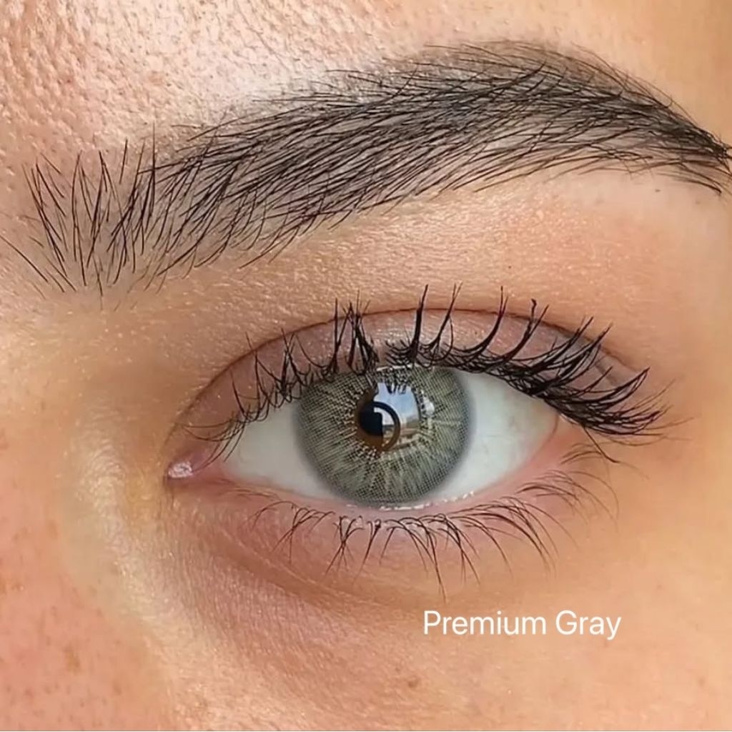 Premium Gray คอนแทคเลนส์สายฝอ มีค่าสายตา (สีนี้เป็นรายปี)