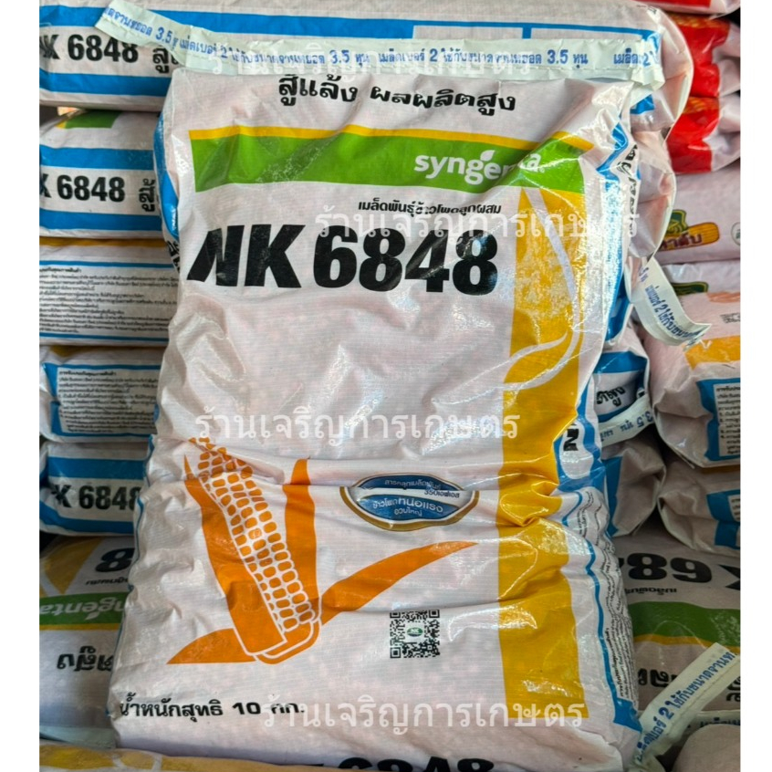 เมล็ดพันธุ์ข้าวโพด NK 6848 เอ็นเค (3.5หุน) ขนาด10 กก. สู้แล้งจัด ผลผลิตสูง ปลูกถี่ได้ ลำต้นแข็งแรง ข
