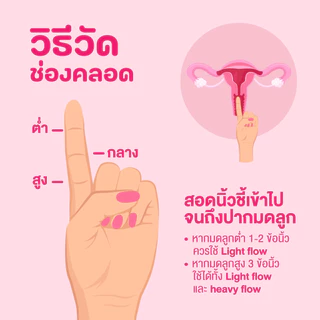 Flowdays Complete Care Set | เซตดูแลน้องสาว 4 ชิ้นครบสูตร สะอาด มั่นใจ ครบจบ! (เลือกไซซ์ถ้วยได้)