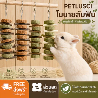 ของเล่นสัตว์ฟันแทะ ลับฟัน ธรรมชาติ ปลอดภัย ช่วยลดความเครียด ลดพฤติกรรมแทะกรง วัสดุจากผักผลไม้ ไม้แอปเปิ้ล หญ้าอัลฟาฟ่า