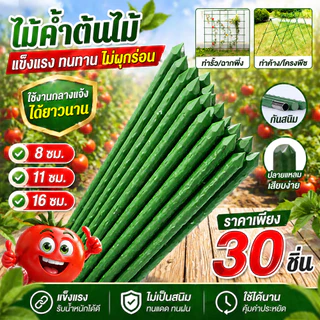 【set 30เส้น】ไม้ค้ำต้นไม้ยาว 60-180ซม. เสาค้ำต้นไม้ทนทาน ไม่เป็นสนิม ทนทานเหล็ก เคลือบพลาสติก