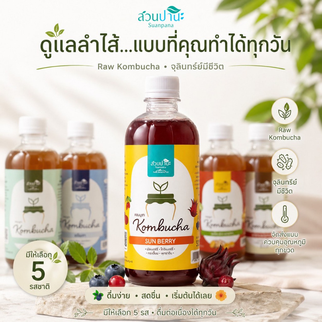 ชุดคอมบูชา (kombucha) 500 มล.