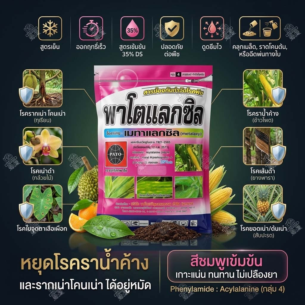 พาโตแลกซิล 35 (ชมพูเข้ม) 1 กิโลกรัม เมทาแลกซิล 35% DS โรคเน่า โรคราน้ำค้าง ใบจุด รากเน่า ทาแผลต้นไม้