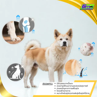อาหารสุนัข LAMBTO (LT) 20 กิโลกรัม