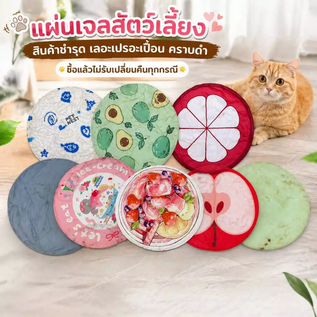 Boqi  Pet Cool mat   เย็นสบาย แผ่นเจลเย็น ที่นอนเย็น แผ่นทำความเย็น สินค้าเลอะ เปอะเปื่อน SALE 9999 thumbnail 5