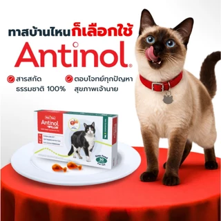 Antinol Cat แอนทินอล อาหารเสริมไขมัน บำรุงข้อ สำหรับแมว 1 กล่อง (60 เม็ด) Vetz Petz