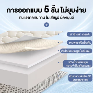 Melloa ที่นอนยางพารา 6ฟุต 5ฟุต 3.5ฟุต 3ฟุต แก้ปวดหลัง รองรับสรีระ ลดแรงสั่นสะเทือน นอนนุ่มสบาย
