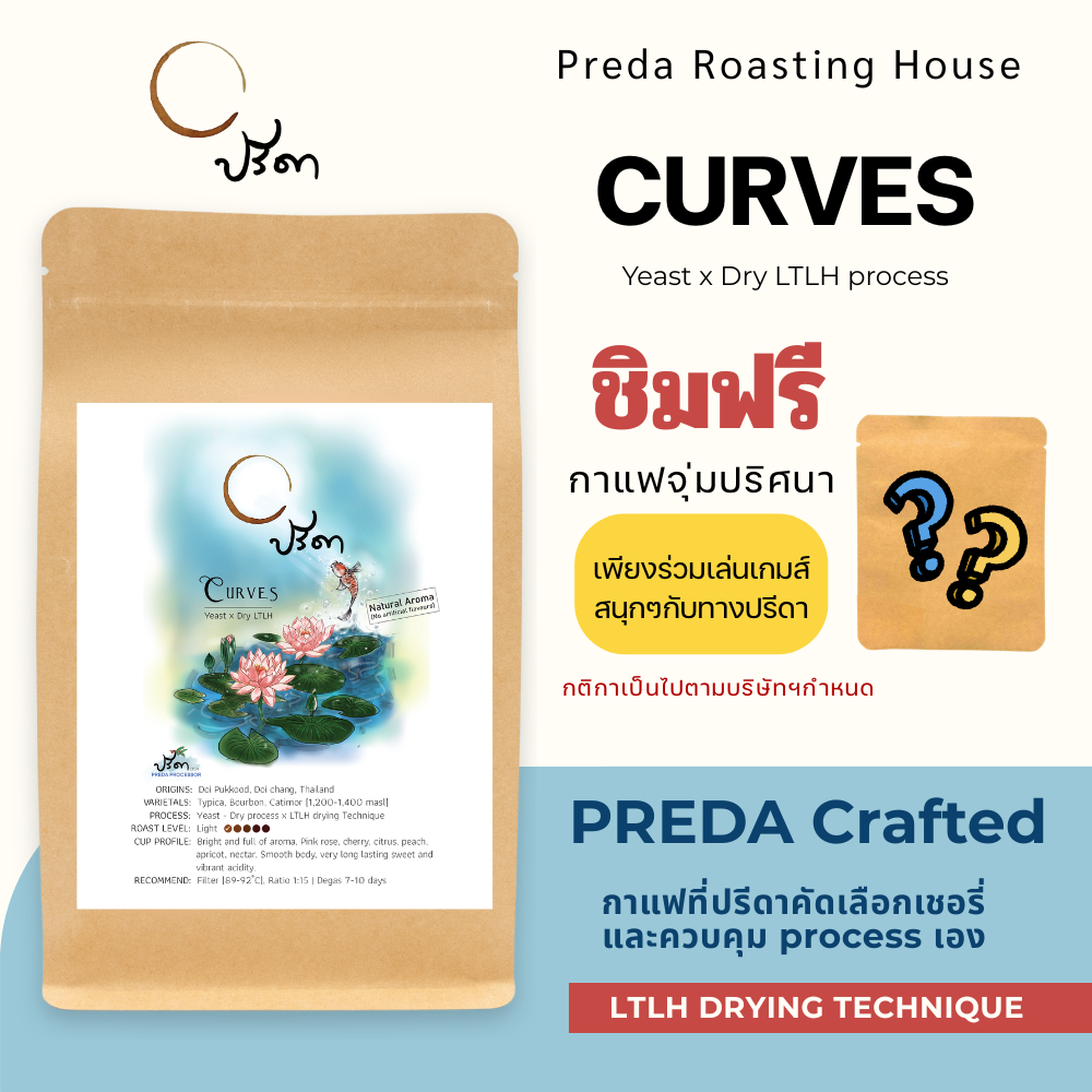 Curves (เมล็ดกาแฟคั่วอ่อน ตราปรีดา Yeast-dry x LTLH กลิ่นรสซับซ้อน โทนเชอร์รี่ พีช กุหลาบ หวานฉ่ำ)