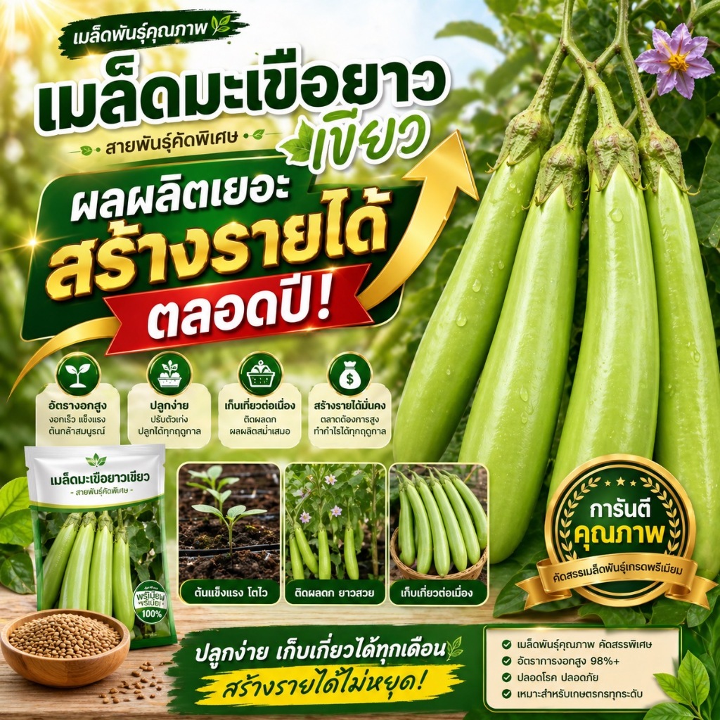 เมล็ดมะเขือยาวสีเขียว ลูกยาว โตไว ผลดก ปลูกง่าย