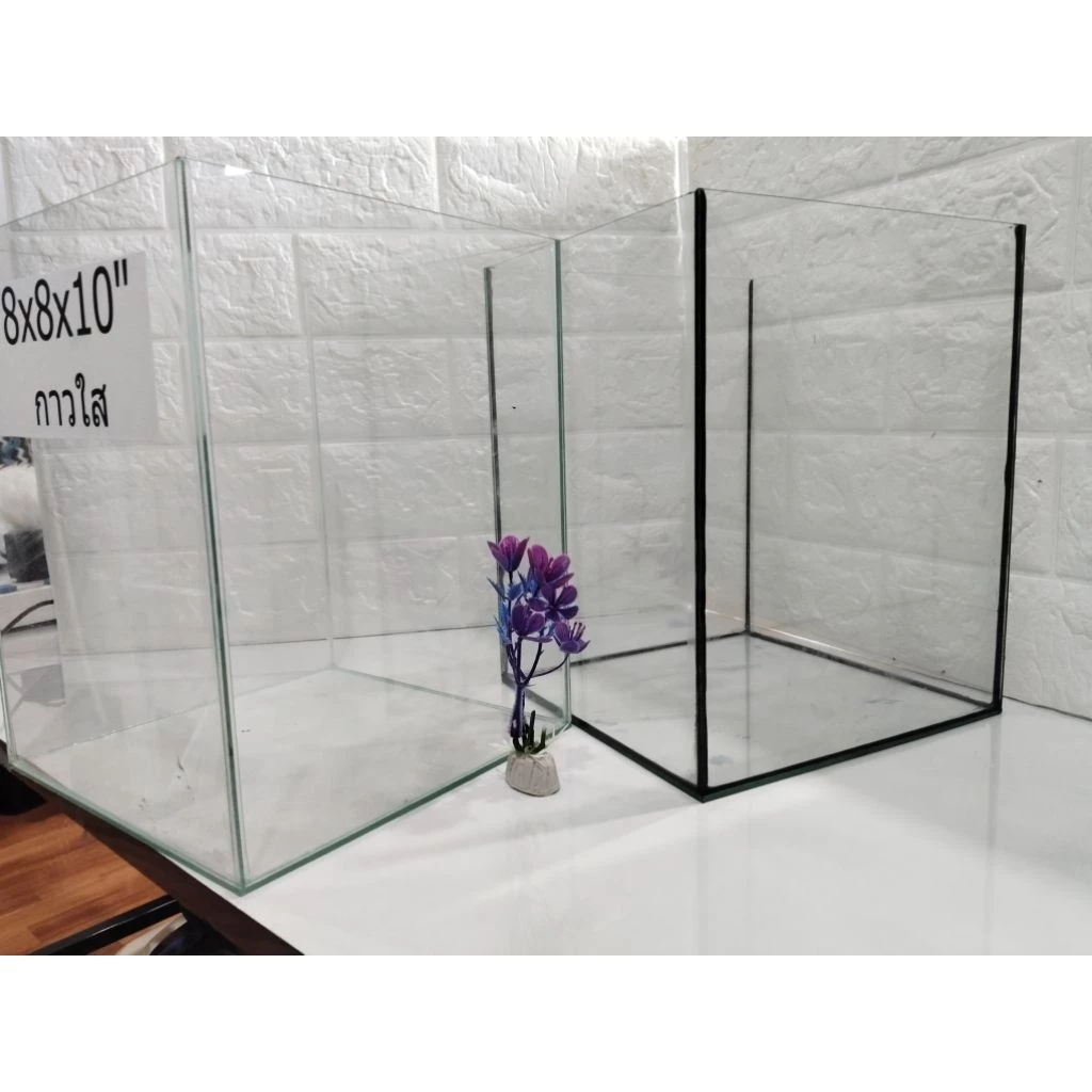 โหลปลากัด 8x8x10 นิ้ว กระจกหนา 3 มิล สำหรับปลากัดและสัตว์เล็ก พร้อมกาวใสและกาวดำ  รับประกันสินค้า thumbnail 4