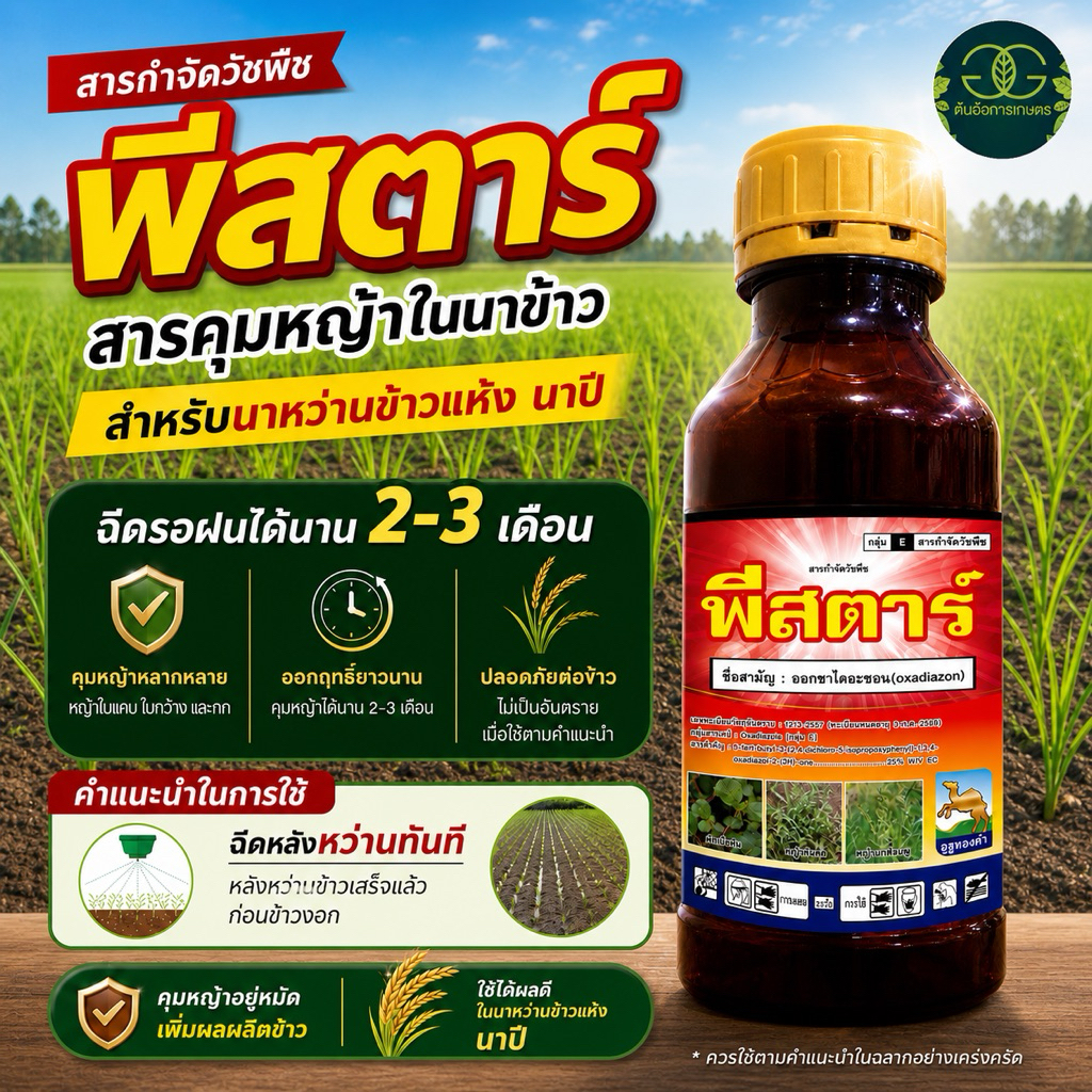 ออกซาไดอะซอน ยาคุมหญ้า รอฝนได้ ขนาด1ลิตร สำหรับนาหว่านแห้ง ดินแห้ง ฉีดพ่นได้3-4ไร่