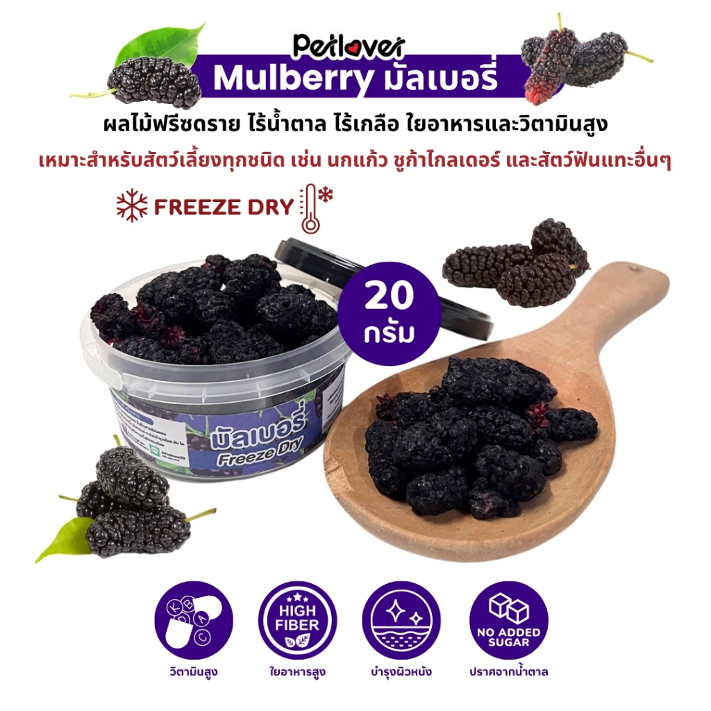 Mulberry มัลเบอรี่ ฟรีซดราย ไร้น้ำตาล ไร้เกลือ อาหารนกแก้ว และสัตว์ฟันแทะทุกชนิด (กระปุก 20G)