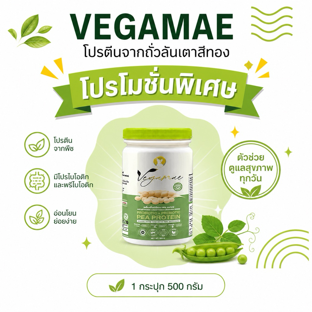 โปรตีนเวกาเม่ 1 กระปุก ขนาด 500 กรัม โปรตีนพืชจากพืช 100% ไม่มีน้ำตาล เจทานได้ เสริมสร้างกล้ามเนื้อ
