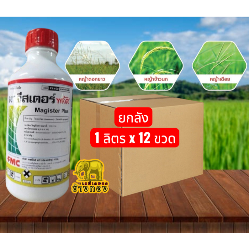 มาจีสเตอร์ พลัส ยกลัง 1 ลิตร คุมฆ่าหญ้าในนาข้าว หลังหว่านข้าว 7-14วัน ( 1 ขวดฉีดพ่นได้ 4 - 5 ไร่)