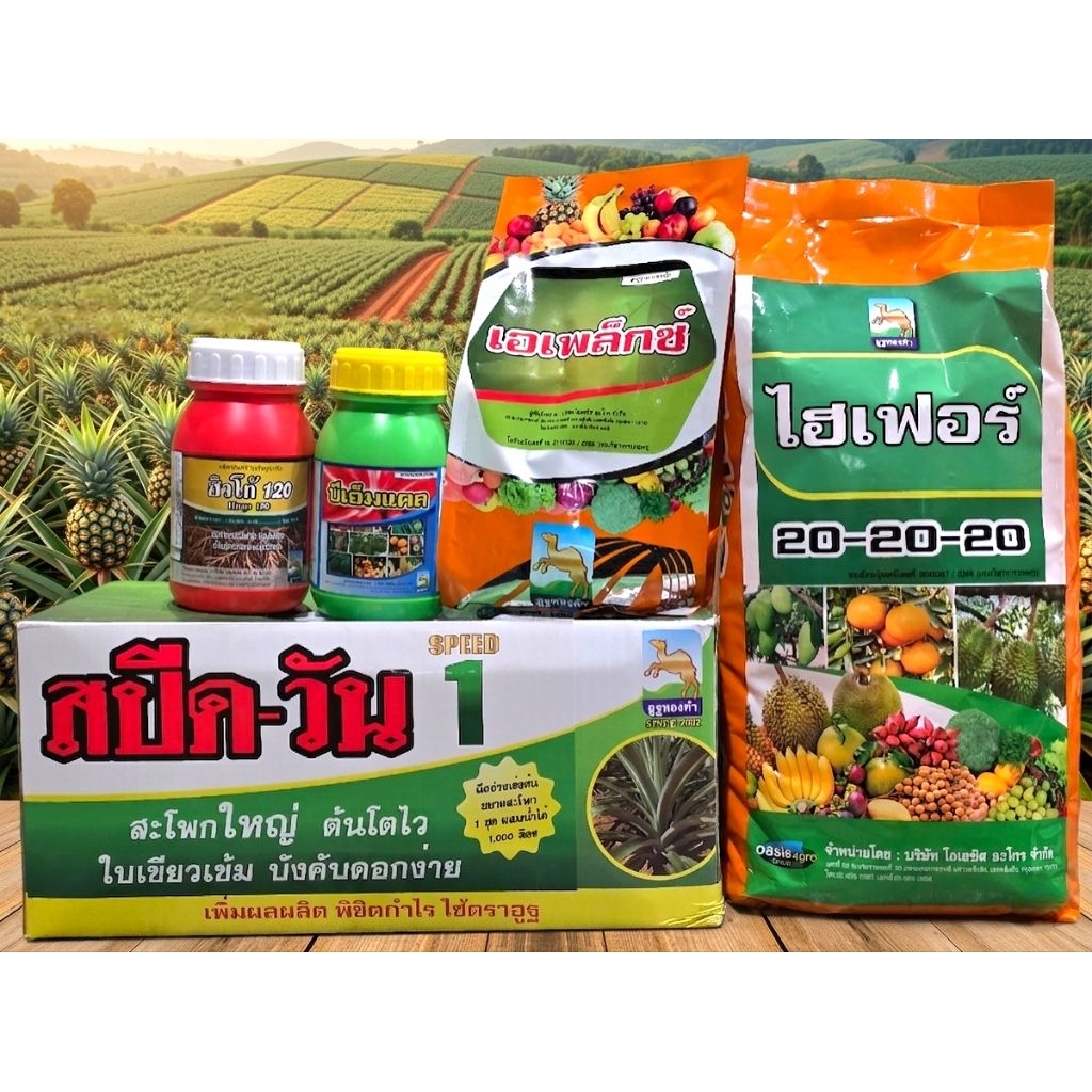 ชุดปุ๋ยสับปะรด (บำรุงต้น) ไฮเฟอร์20-20-20+เอเพล็กซ์+บีเอ็มเเคล+ฮิวโก้120  ตราอูฐทองสปีดวัน
