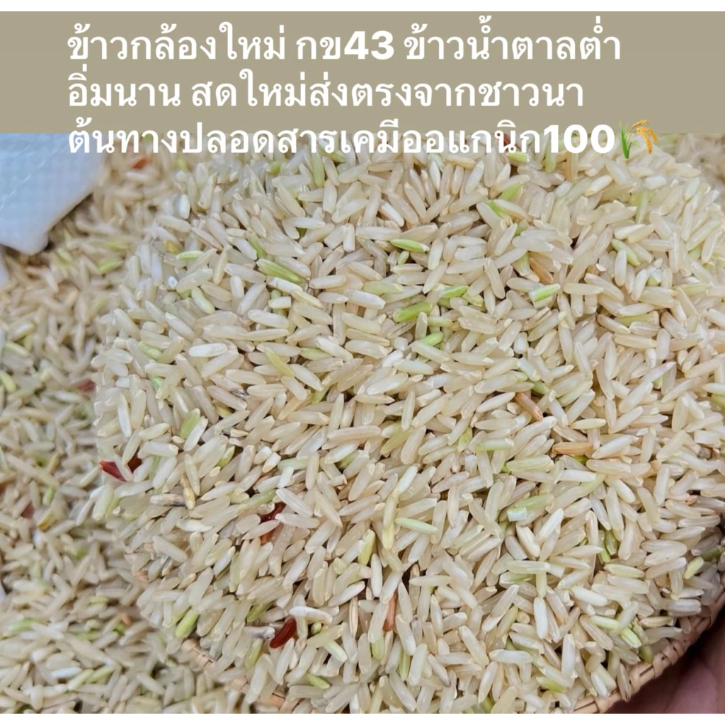 ข้าวกล้องใหม่ ก.ข 43 แพ็ค1กิโลกรัม ข้าวปลอดสารเคมีไม่ใส่สารกันมอดเหมาะกับคนเป็นเบาหวานความดันโลหิตสูงน้ำหนักรวมกล่อง