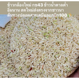 ข้าวกล้องใหม่ ก.ข 43 แพ็ค1กิโลกรัม ข้าวปลอดสารเคมีไม่ใส่สารกันมอดเหมาะกับคนเป็นเบาหวานความดันโลหิตสูงน้ำหนักรวมกล่อง