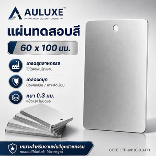 แผ่นทดสอบสี เหล็กเคลือบดีบุก ขนาด 60×100 มม. หนา 0.3 มม. เจาะรูแล้ว