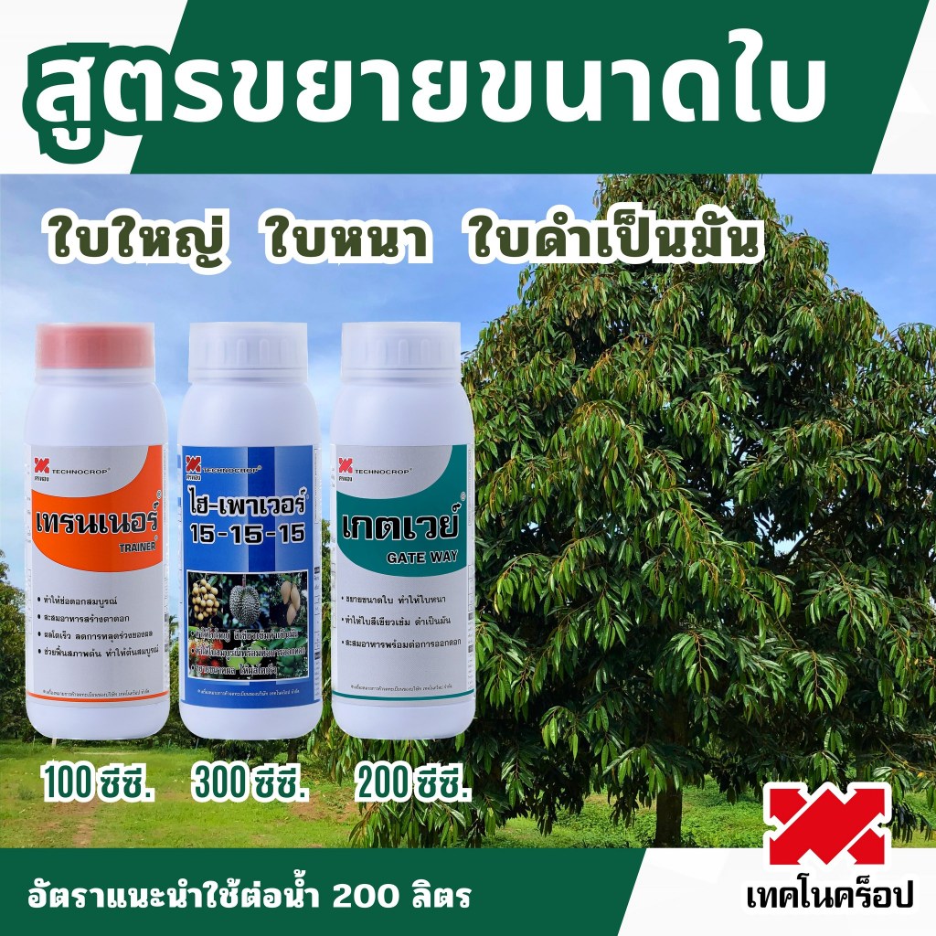 สูตรขยายขนาดใบ เทคโนคร็อป(เทรนเนอร์ 1 ลิตร+ไฮ-เพาเวอร์15-15-15 1 ลิตร+เกตเวย์ 1 ลิตร) ใบใหญ่ ใบหนา ใบดำเป็นเงา
