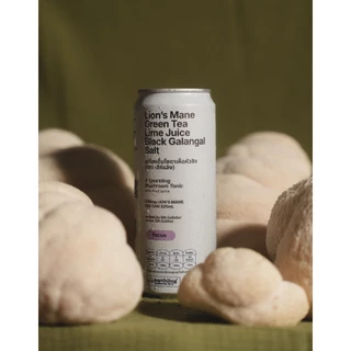 เครื่องดื่มโซดาเห็ดหัวลิง l Lion's Mane Green Tea Lime Juice Black Galangal Salt l เหมาะกับวันใช้สมาธิ I 10 กระป๋อง/แพ็ค