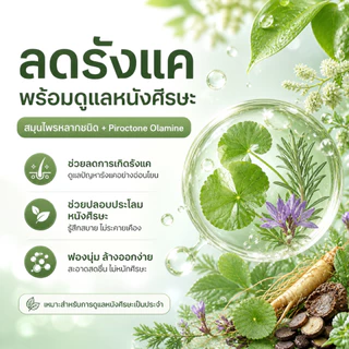 CNMOFAXIN แชมพูขจัดรังแคสมุนไพร 730ml สูตร Piroctone Olamine ดูแลรังแคและความมัน หนังศีรษะสะอาดสดชื่น