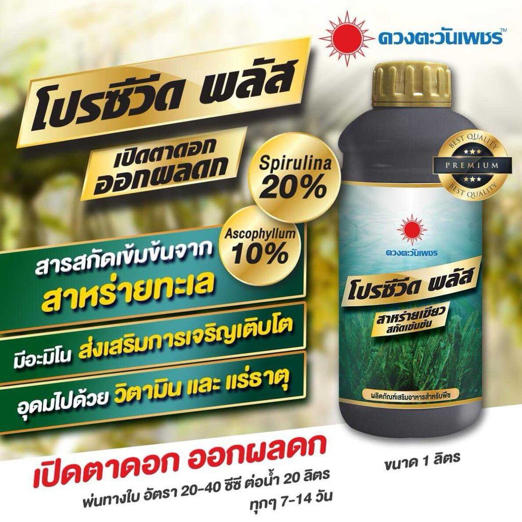 โปรซีวีดสาหร่ายเข้มข้น💥แตกกอ/แตกยอด/เปิดตาดอก/ครบจบในขวดเดียว