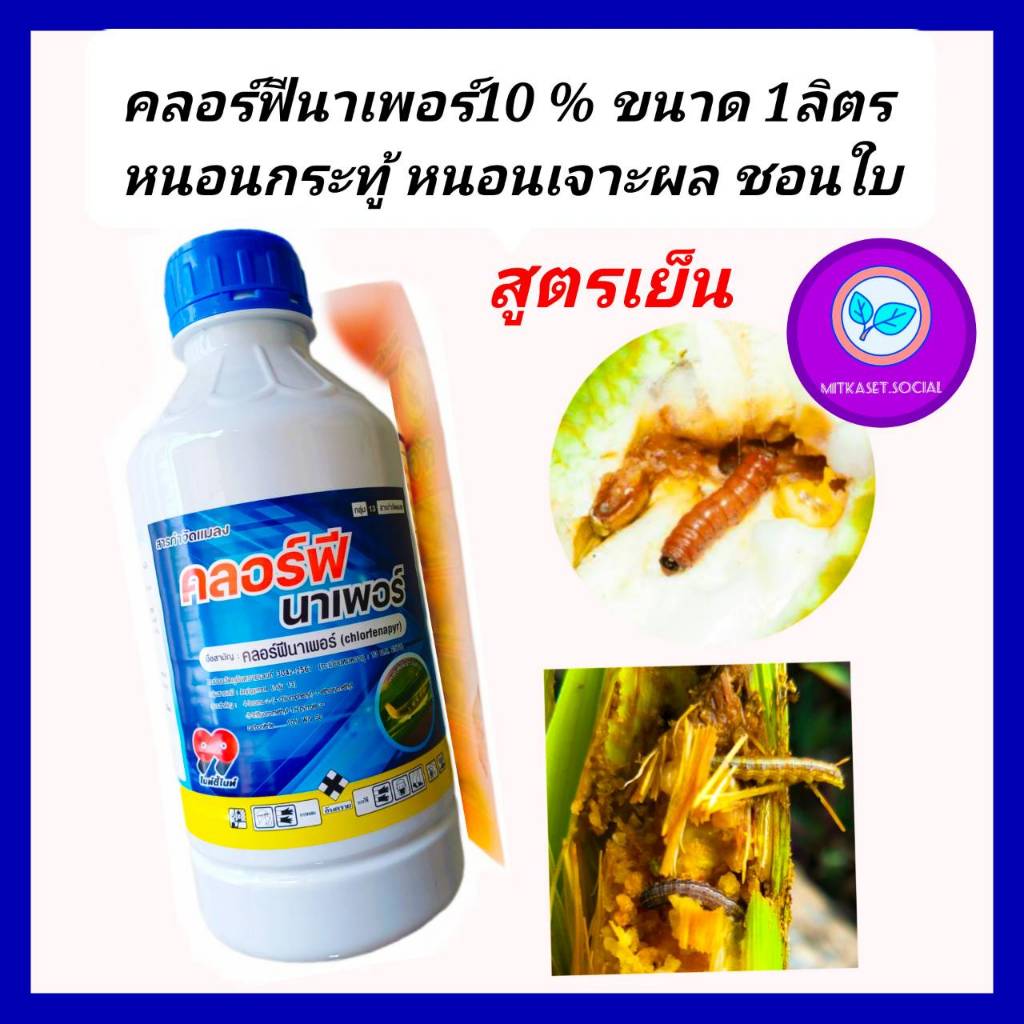 คลอร์ฟีนาเพอร์ 10 SC ขนาด 1 ลิตร (เลิฟเพอร์)คลอร์ฟินาเพอร์ สารป้องกันกำจัดแมลง หนอนหนังเหนียว หนอนเจาะ หนอนกระทู้ข้าวโพด
