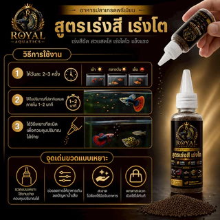 Royal Aquatics อาหารปลาหางนกยูง โปรตีน 60% สูตรเร่งสี เร่งโต เม็ดเล็กมาก ลูกปลากินได้ เกรดพรีเมียม