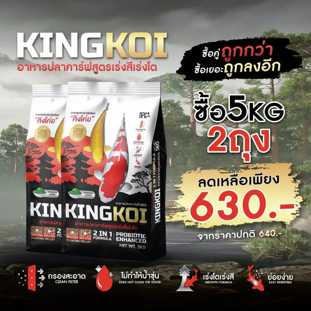 โปร!! ซื้อ 2 ถูกกว่า KING KOI อาหารปลาคาร์ฟ 2IN1 สูตรเร่งโต เร่งสี 5KG 2 ถุง