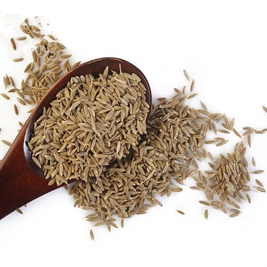 ยี่หร่า เมล็ดยี่หร่า CUMIN SEED สินค้าพร้อมส่งจากไทย