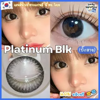 คอนแทคเลนส์ Platinum Brown / Black (Kitty Kawaii) ขนาดบิ๊กอาย 🌷 คอนแทคสีดำ ลายดัง ตต