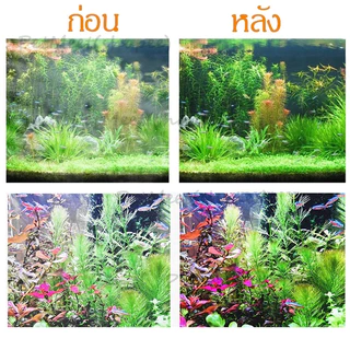 หินดูดกลิ่นตู้ปลา​10 in 1 วัสดุกรองตู้ปลา วัสดุกรอง หินกรองตู้ปลา Ceramic Ring เซรามิคริง หินภูเขาไฟ พร้อมถุงตาข่าย