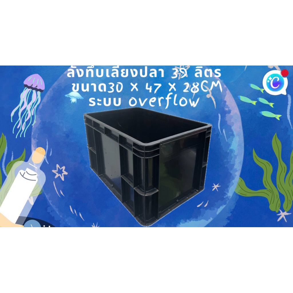 ลังทึบเลี้ยงปลาสีดำ 39 ลิตร ระบบoverflow อ่างเปล อ่างปลาบอลลูน อ่างปลาหางนกยูง อ่างเปล่า อ่างเลี้ยงป