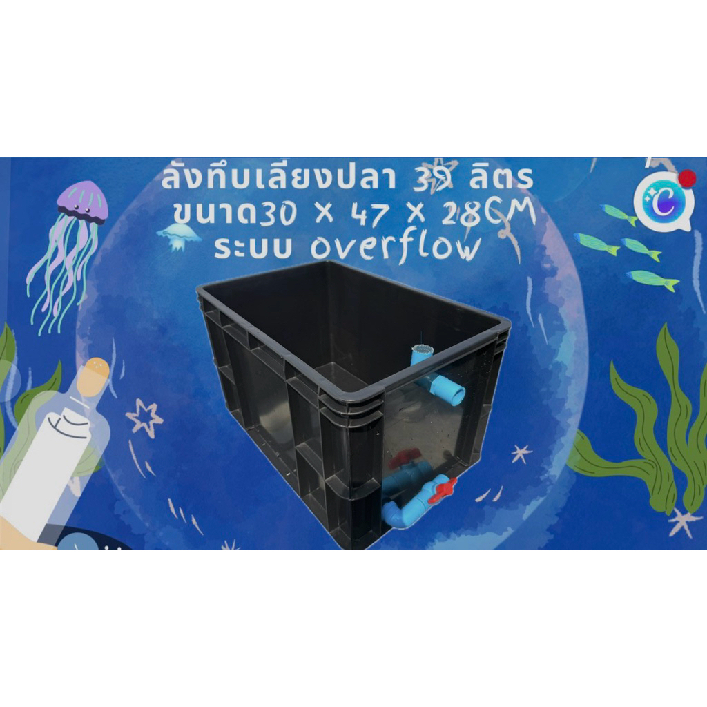 ลังทึบเลี้ยงปลาสีดำ 39 ลิตร ระบบoverflow วาล์วฟ้า อ่างเปล อ่างปลาบอลลูน อ่างปลาหางนกยูง อ่างเลี้ยงปล