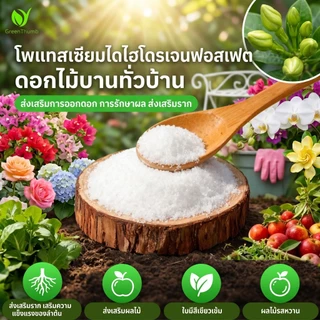 【GreenThumb】ปุ๋ยบำรุงพืช พแทสเซียมไดไฮโดรเจนฟอสเฟต 250 กรัม เร่งดอก เร่งตา ป้องกันใบเหลือง ใบม้วน ใช้ได้กับไม้ดอก ไม้ผล