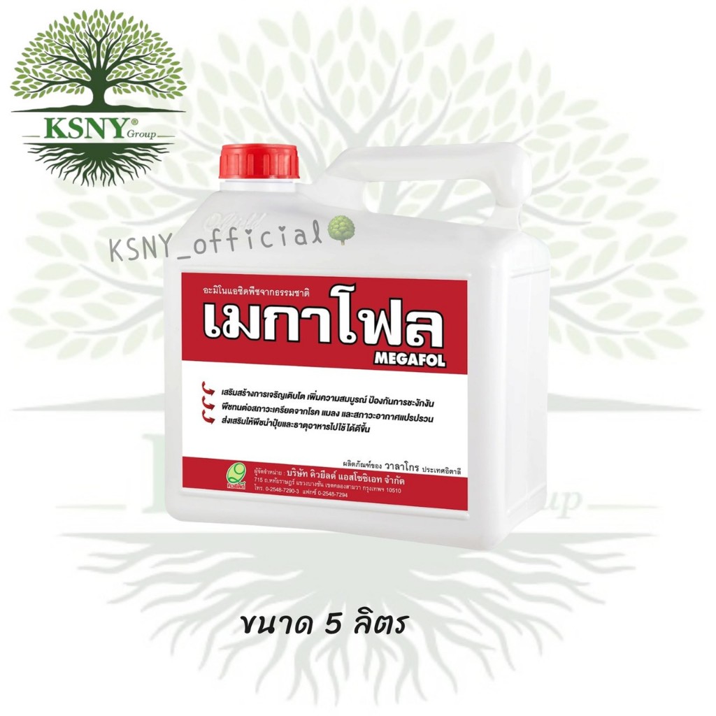 เมกาโฟล คิวยีลด์ สารอะมิโนที่สังเคราะห์จากพืช พืชแข็งแรงทนต่อสภาพอากาศ(แกลลอน 5 ลิตร)