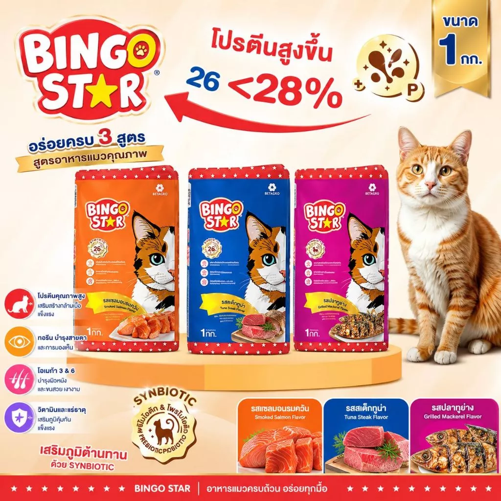 [กระสอบ10 kg] Bingo Star บิงโกสตาร์ สำหรับแมวทุกสายพันธุ์ ขนาด 10 KG.