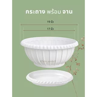 กระถางต้นไม้ พร้อมจานรอง ทรงปากกว้าง 19" ดีไซน์คลาสสิก